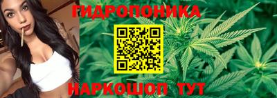 гидропоника Среднеуральск