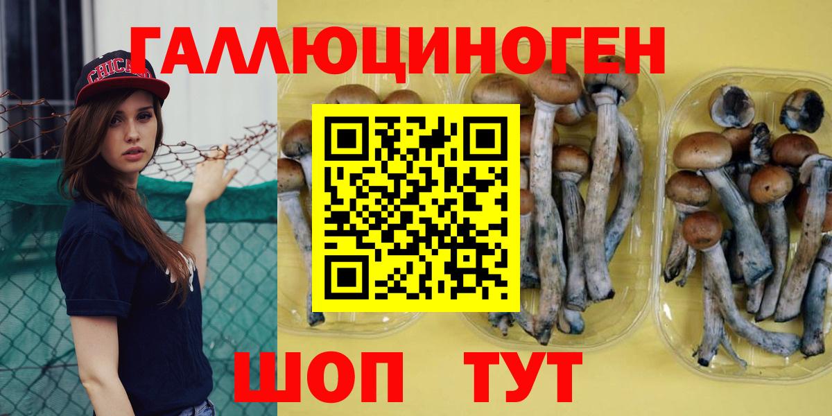 Галлюциногенные грибы GOLDEN TEACHER  Вход с VPN  Реж 